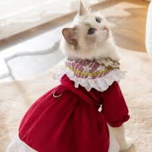 Meli Kadre's Dog Clothes